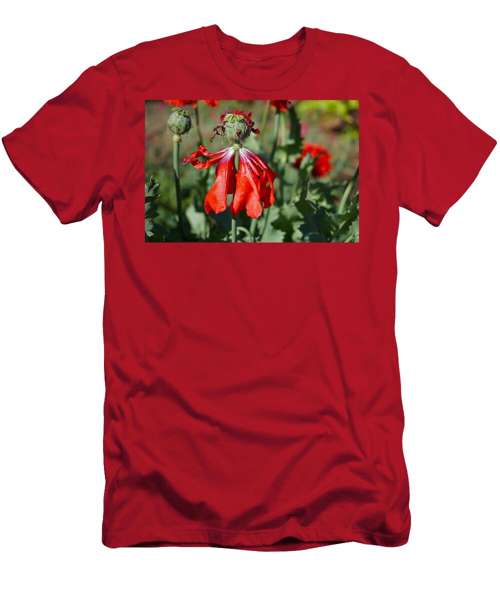 Floral T-Shirt featuring the photograph Dancing Gal by Sandra Lee Scott