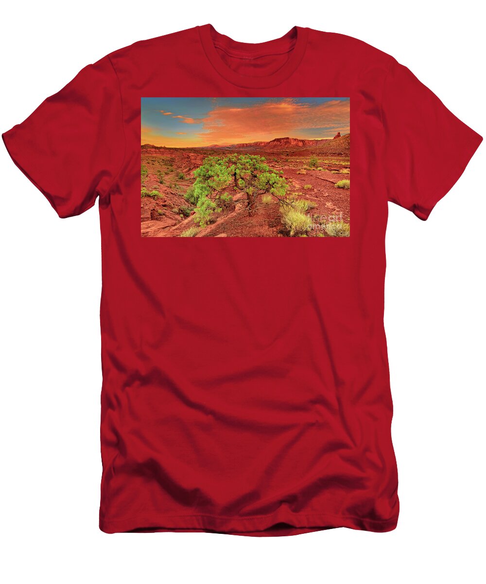North America T-Shirt featuring the photograph Dawn Light Capitol Reef National Park Utah by Dave Welling