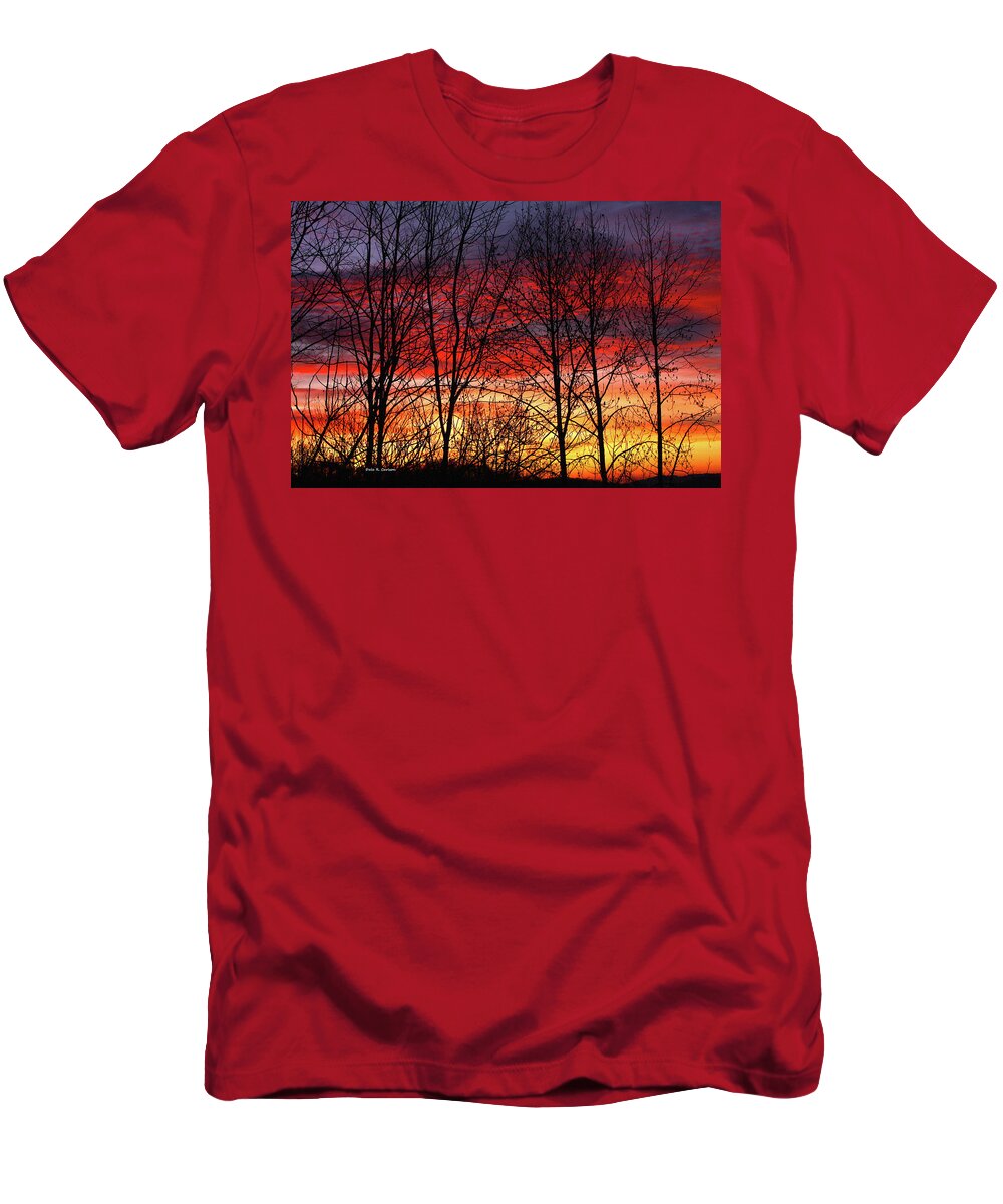 Blue Ridge Mountains T-Shirt featuring the photograph Daybreak by Dale R Carlson