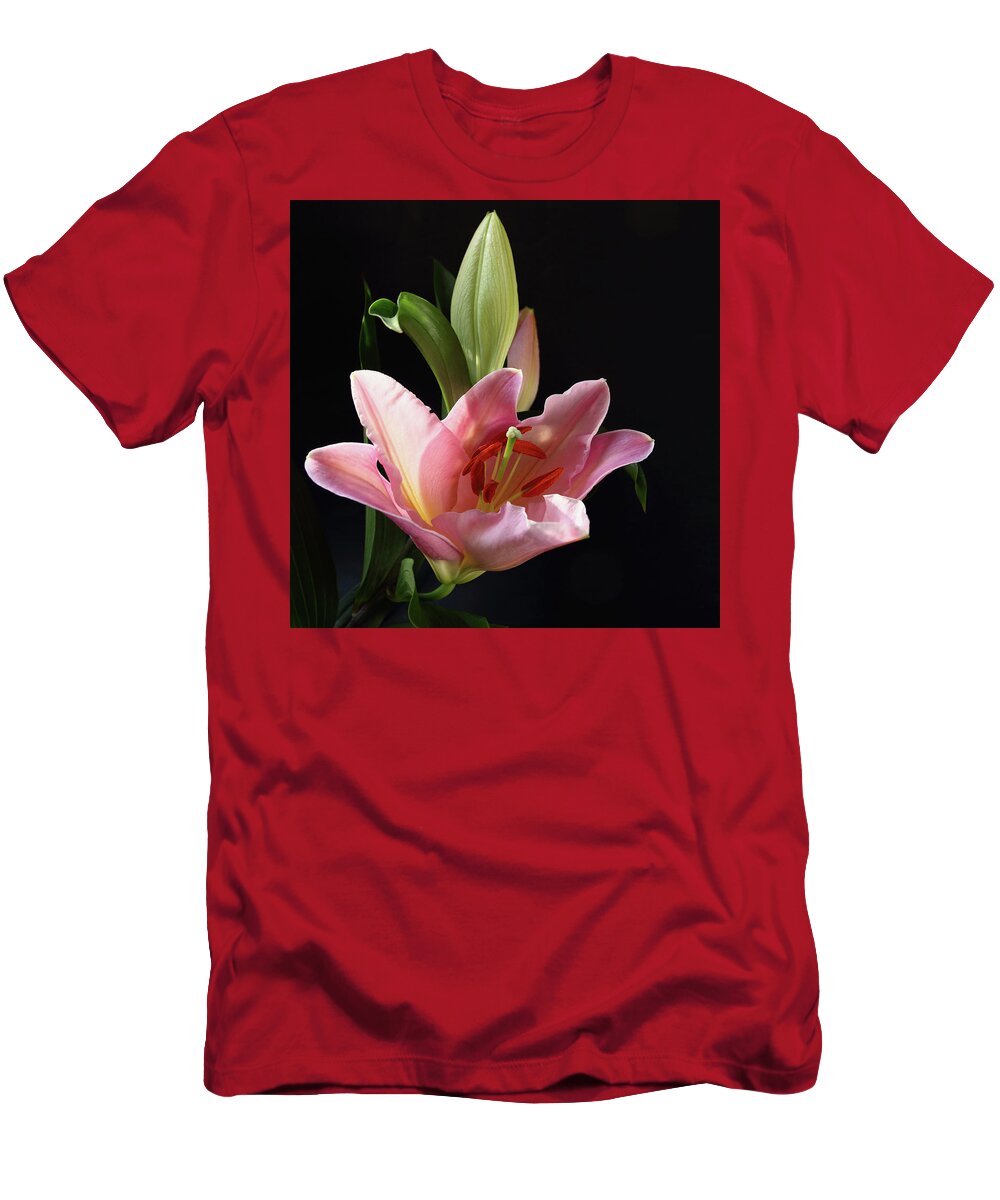 Daylily T-Shirt featuring the photograph Daylily by Jeff Townsend