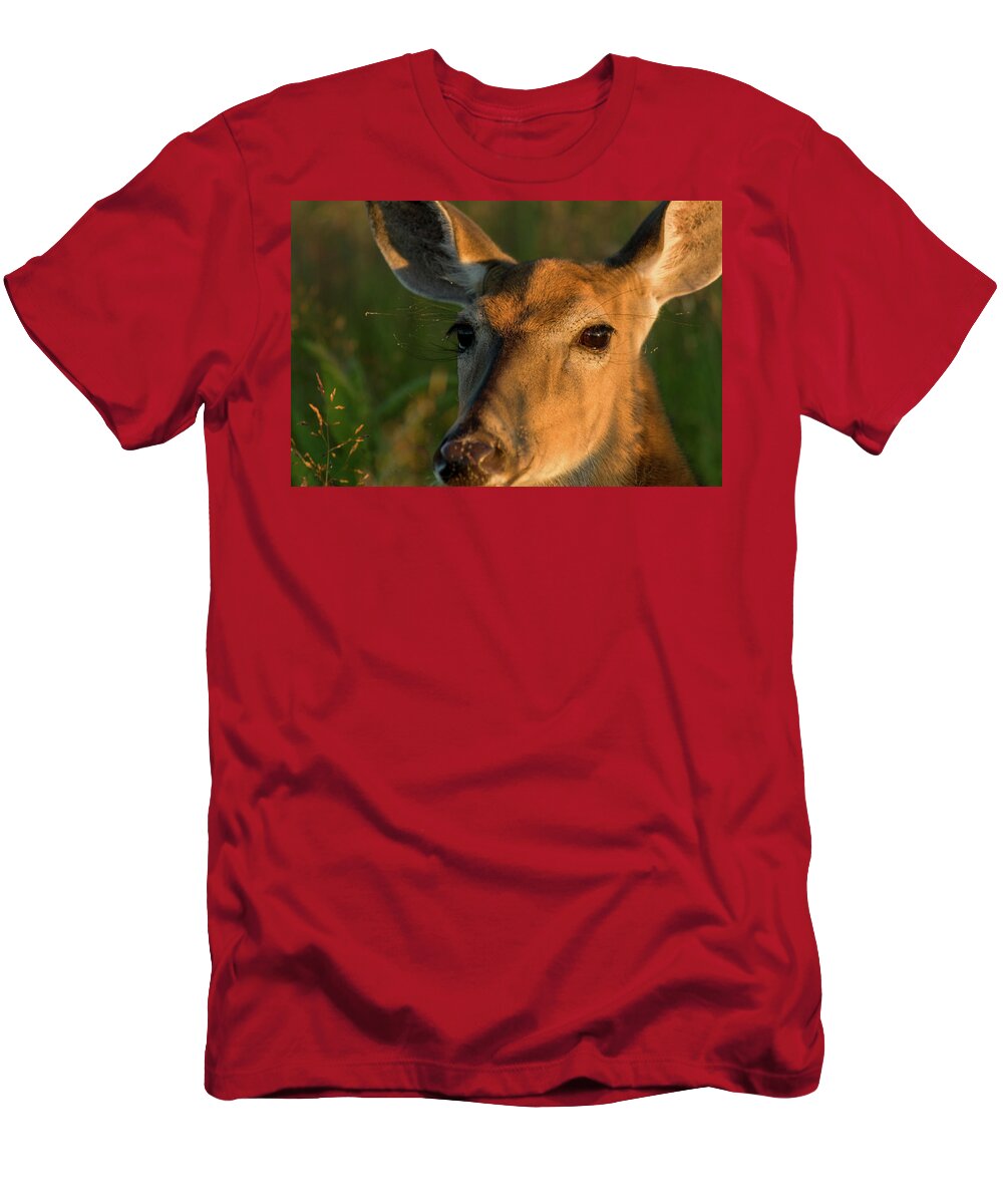 Landscape T-Shirt featuring the photograph Deer Head Shot by Louis Dallara