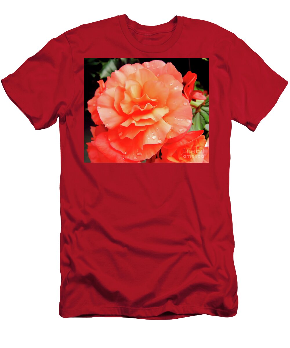 Roses T-Shirt featuring the photograph Dew Kissed by D Hackett