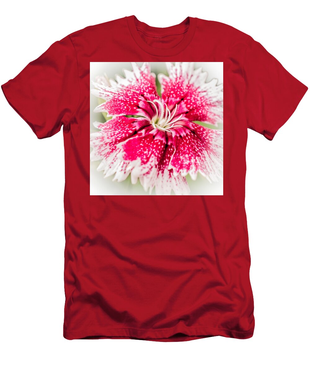 Dianthus T-Shirt featuring the photograph Dianthus Beauty by Yeates Photography