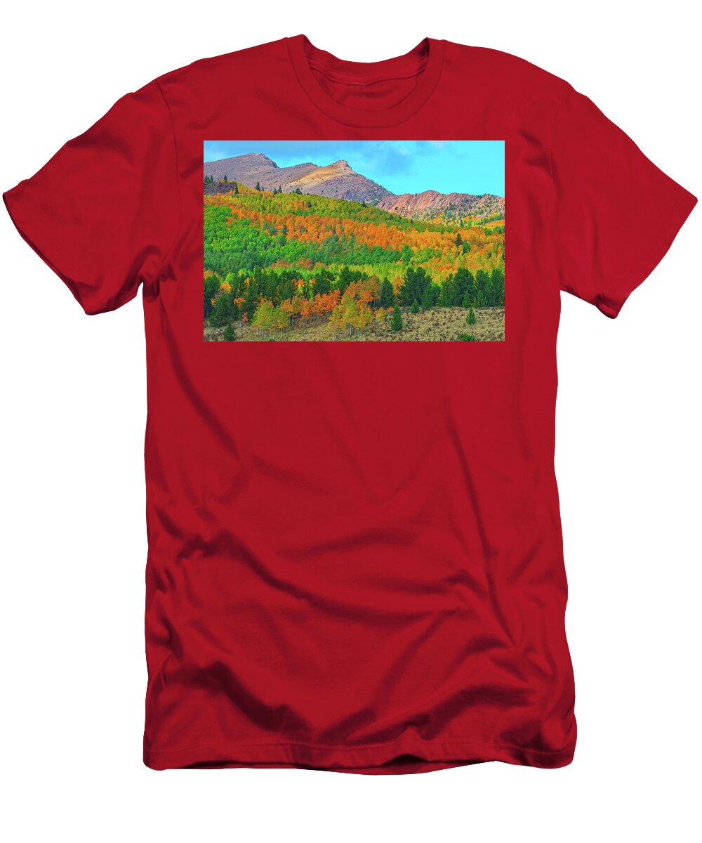 Fall Colors T-Shirt featuring the photograph Don't Be Impressed By Followers And Possessions. Be Impressed By Kindness, Humility, And Integrity. by Bijan Pirnia