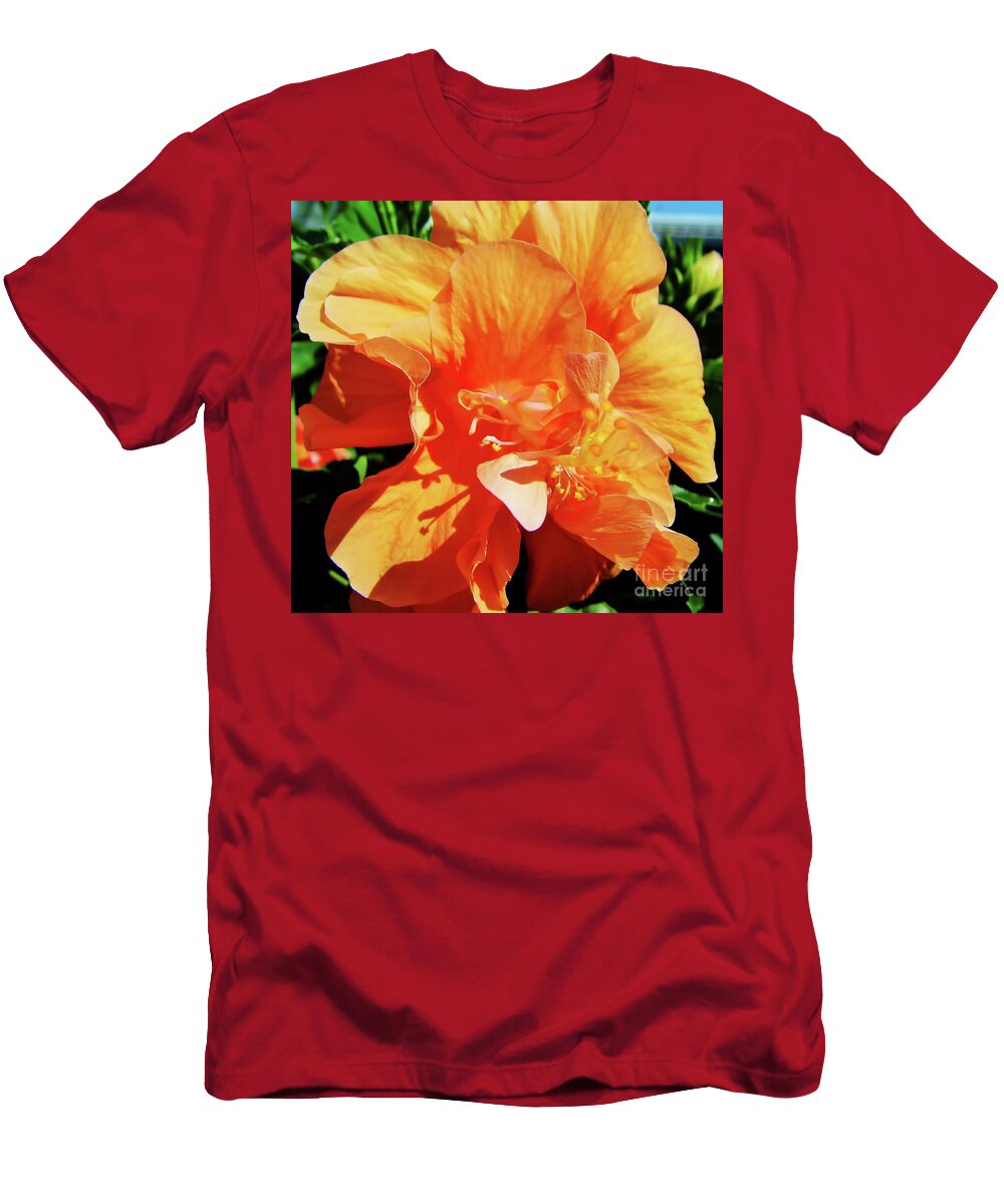 Hibiscus T-Shirt featuring the photograph Double Hibiscus by D Hackett