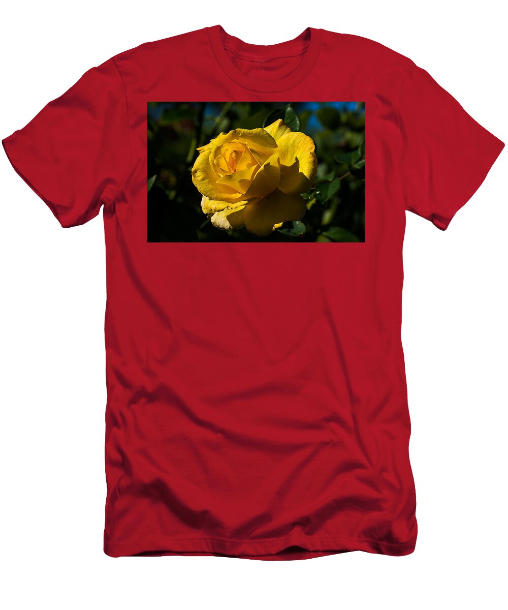 Rose T-Shirt featuring the photograph Early Morning Rose by Kenneth Albin