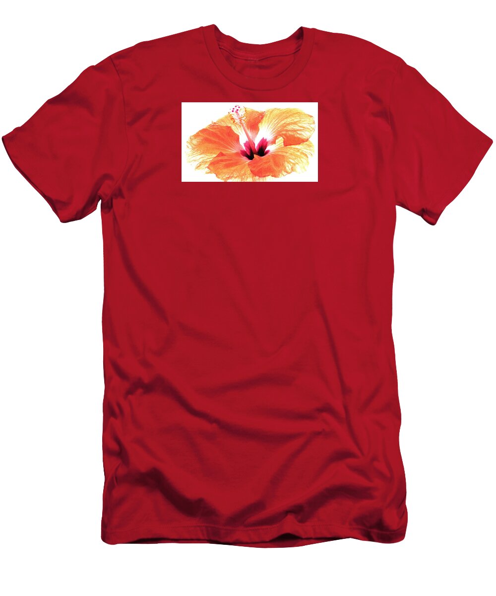 Orange Hibiscus T-Shirt featuring the photograph Enlightened by Angela Davies