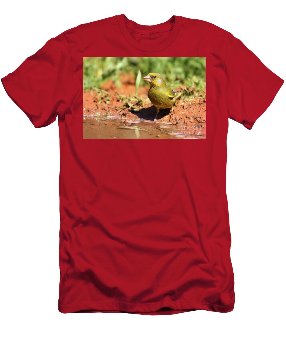 European Greenfinch T-Shirt featuring the photograph European Greenfinch by Alon Meir