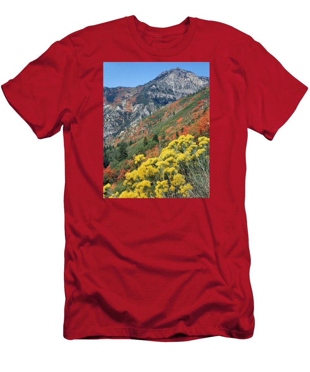 Fall Colors T-Shirt featuring the photograph 212M42-Fall Colors near Mt. Timpanogos by Ed Cooper Photography