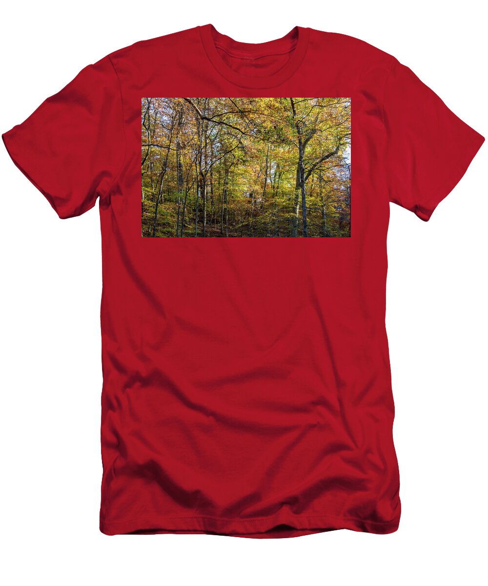 Trees T-Shirt featuring the photograph Fall Colors of Rock Creek Park by Ed Clark