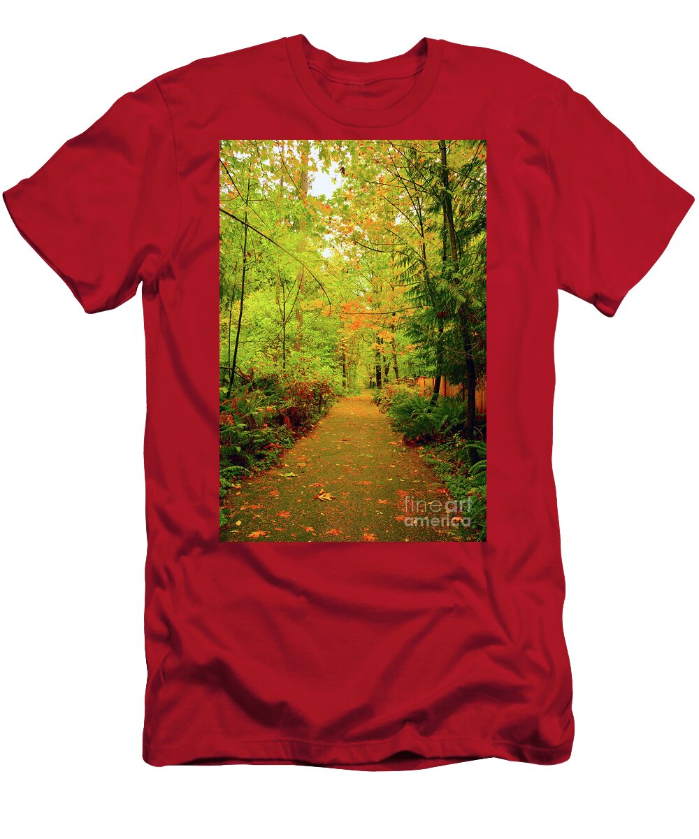 Fall T-Shirt featuring the photograph Fall Path Too by Brian O'Kelly