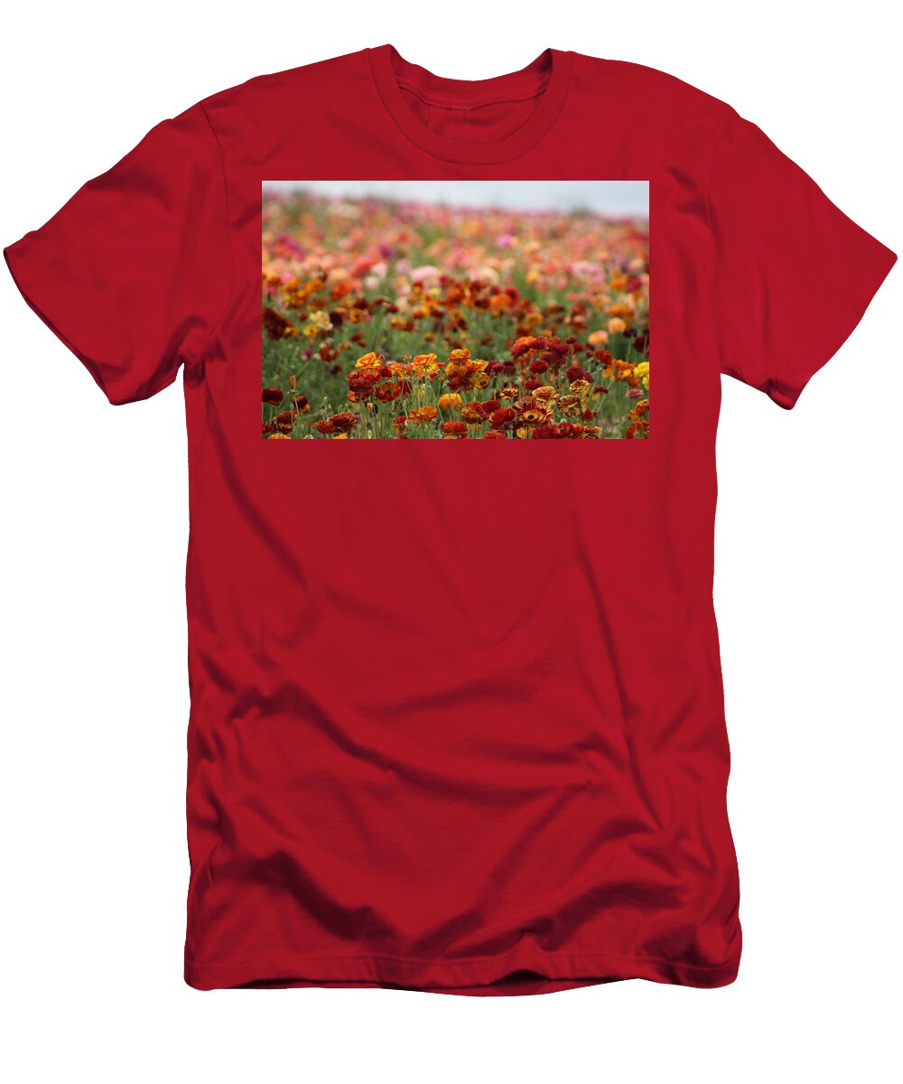 Honey Brown Ranunculus T-Shirt featuring the photograph Field of Burnt Orange and Honey Ranunculus by Colleen Cornelius