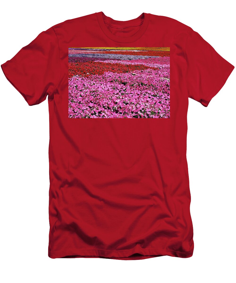 Petunia T-Shirt featuring the photograph Field of Petunia Flowers Gilroy California by Kathy Anselmo