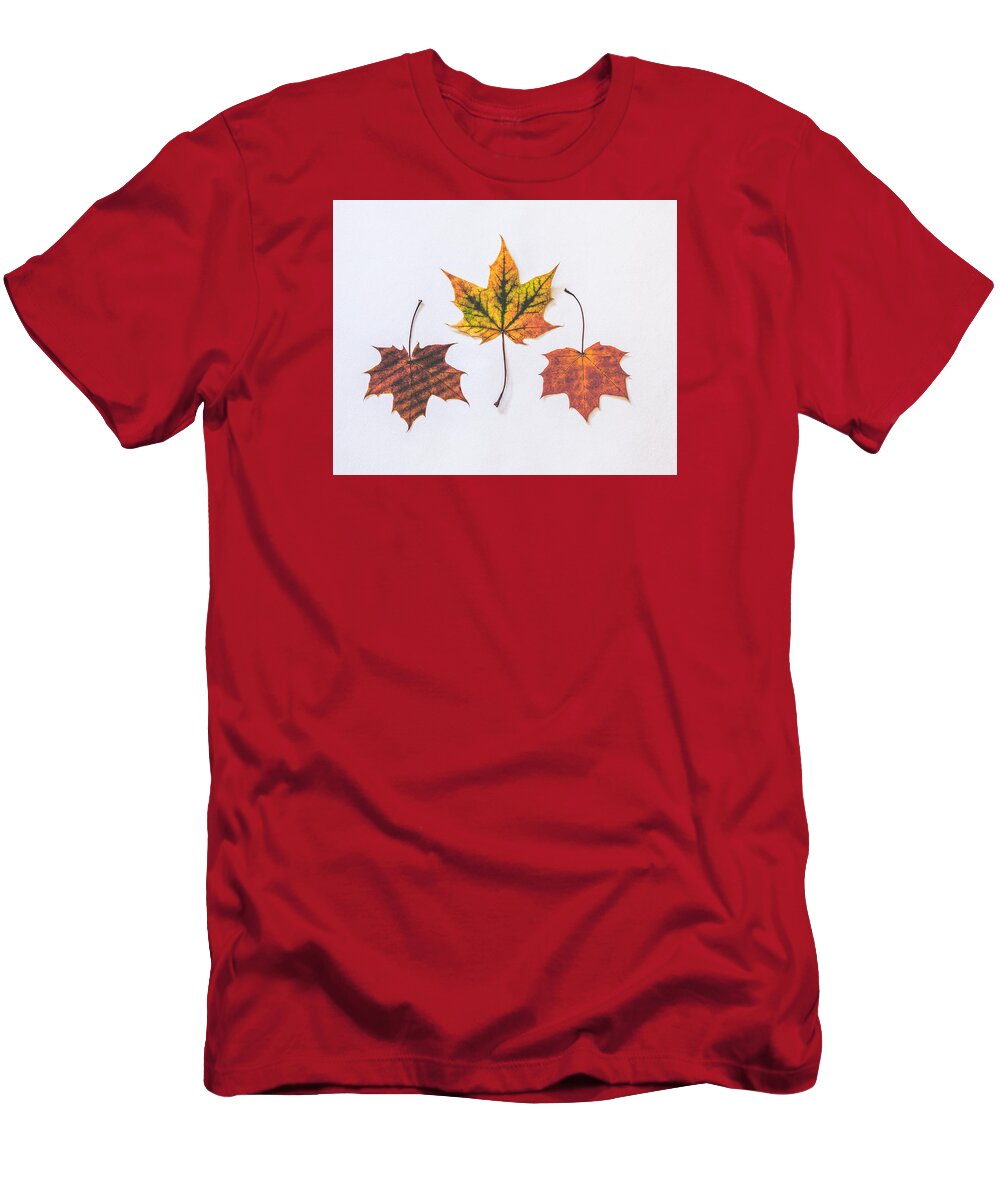 Autumn Colours T-Shirt featuring the photograph Fiery Beauty by Kate Morton