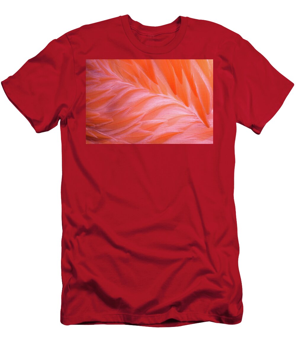 Flamingo Feathers T-Shirt featuring the photograph Flamingo Flow 1 by Michael Hubley