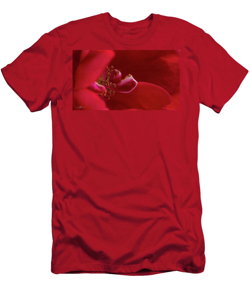 Rosa 'flammentanz' T-Shirt featuring the photograph Flammentanz by Torbjorn Swenelius