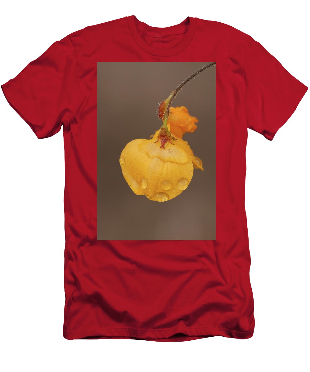 Alicia T-Shirt featuring the photograph Florida Alicia by Paul Rebmann