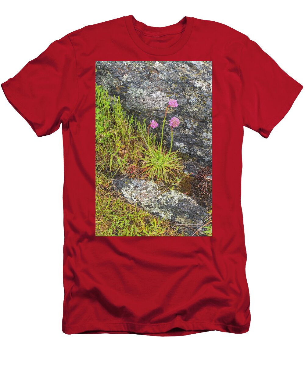 Oregon Coast T-Shirt featuring the photograph Flower And Rock by Tom Singleton