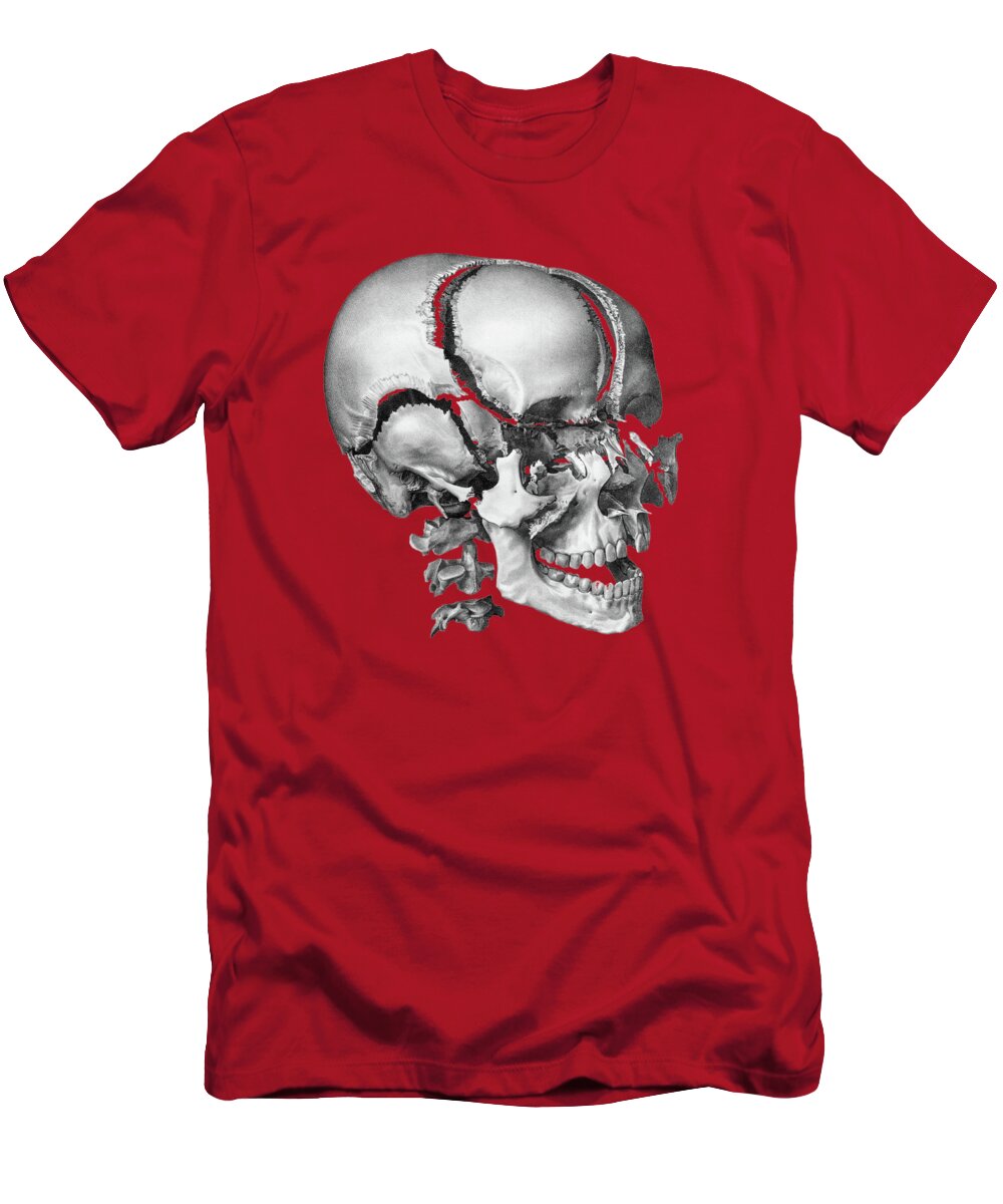 Skull T-Shirt featuring the drawing Fragmented Human Skull - Vintage Anatomy Print by Vintage Anatomy Prints
