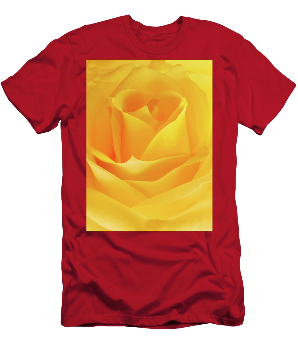Flowers T-Shirt featuring the photograph Friendship by JGracey Stinson