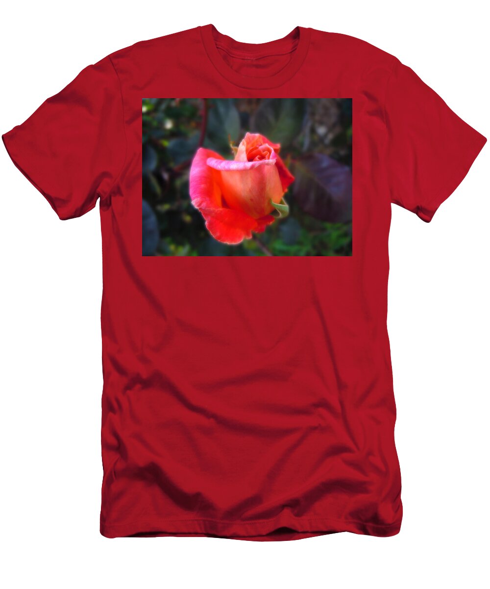 Rose T-Shirt featuring the photograph Glow Rose by Mark Blauhoefer