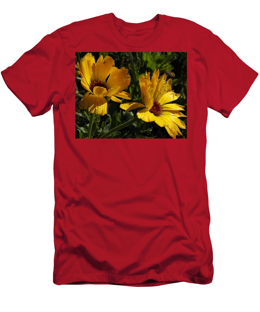 Botanical T-Shirt featuring the photograph Golden Daisies by Richard Thomas
