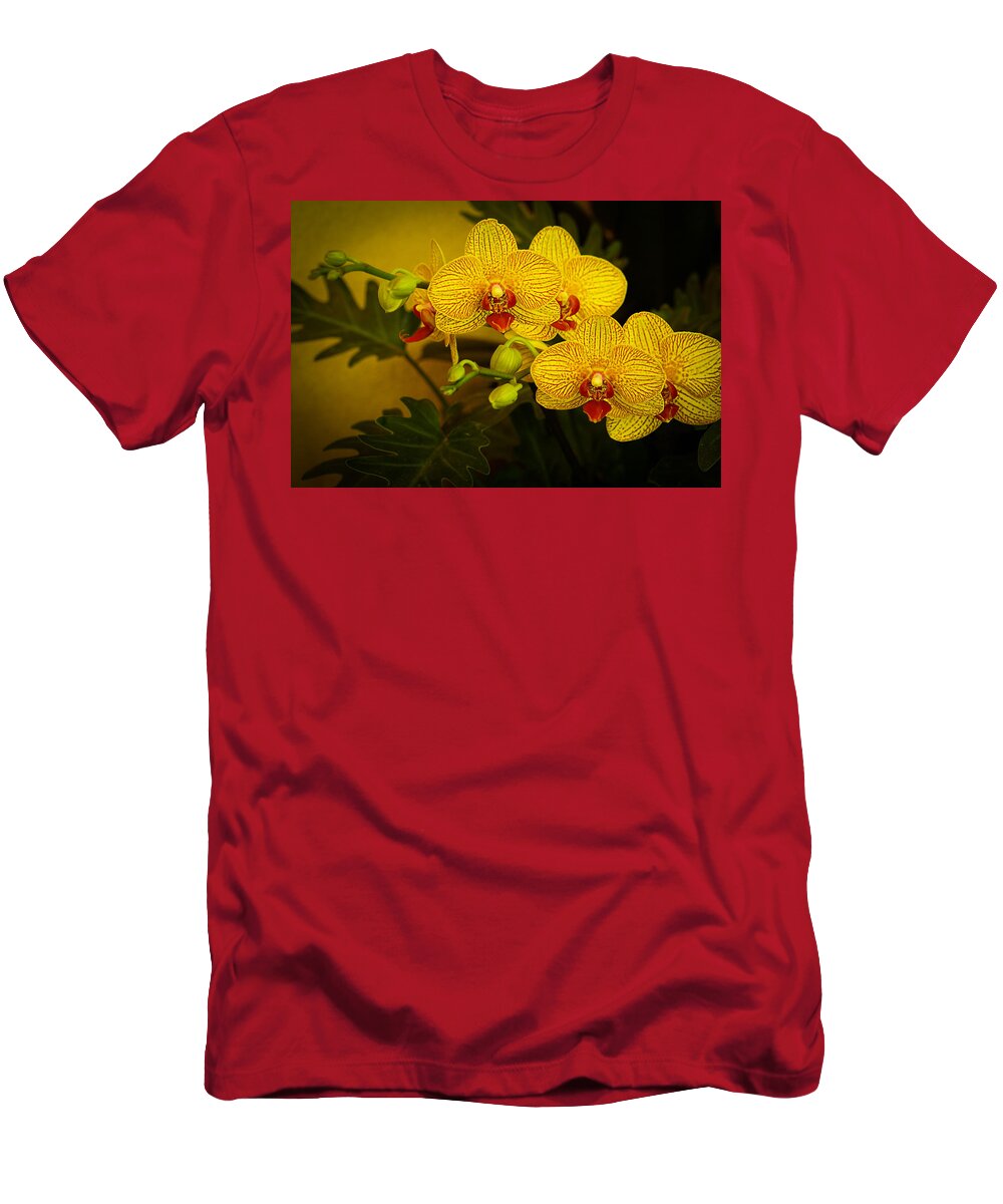 Orchids T-Shirt featuring the photograph Golden Orchids by Mary Buck