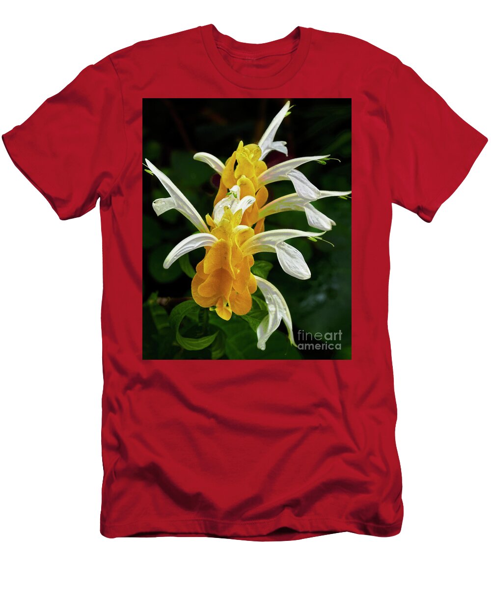 Golden Shrimp Plant T-Shirt featuring the photograph Golden Shrimp Plant by Steve Ondrus