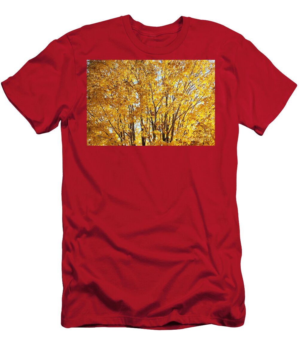Tree T-Shirt featuring the photograph GoldenYellows by Aimelle Ml