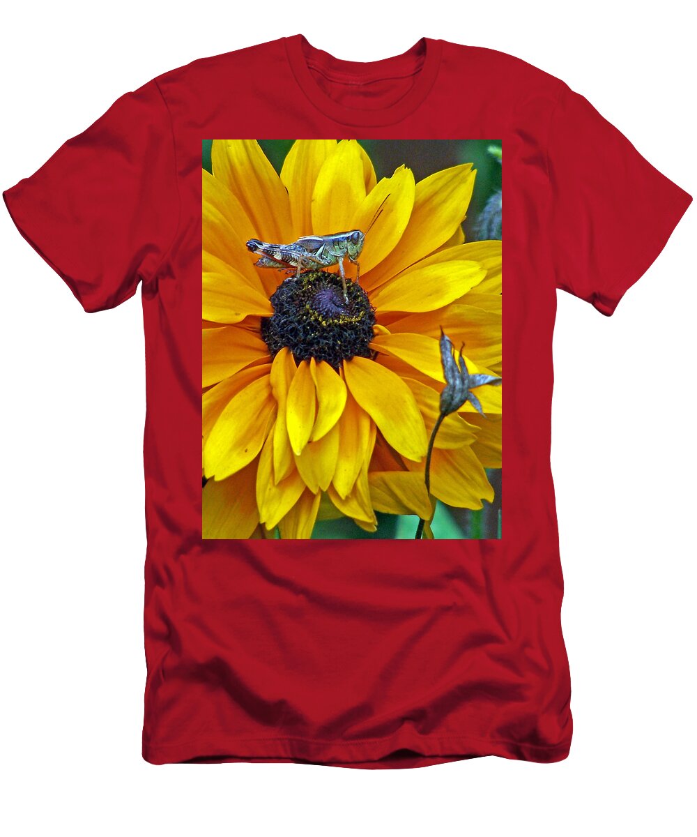 Insects T-Shirt featuring the photograph Grasshopper and Susan by Jennifer Robin