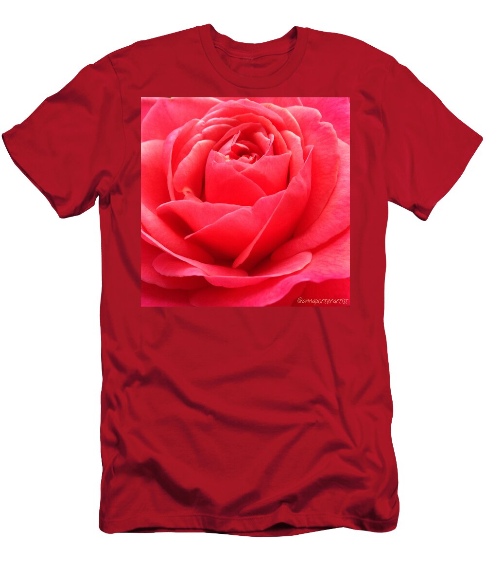Hearts Desire Red Rose T-Shirt by Anna Porter - Instaprints