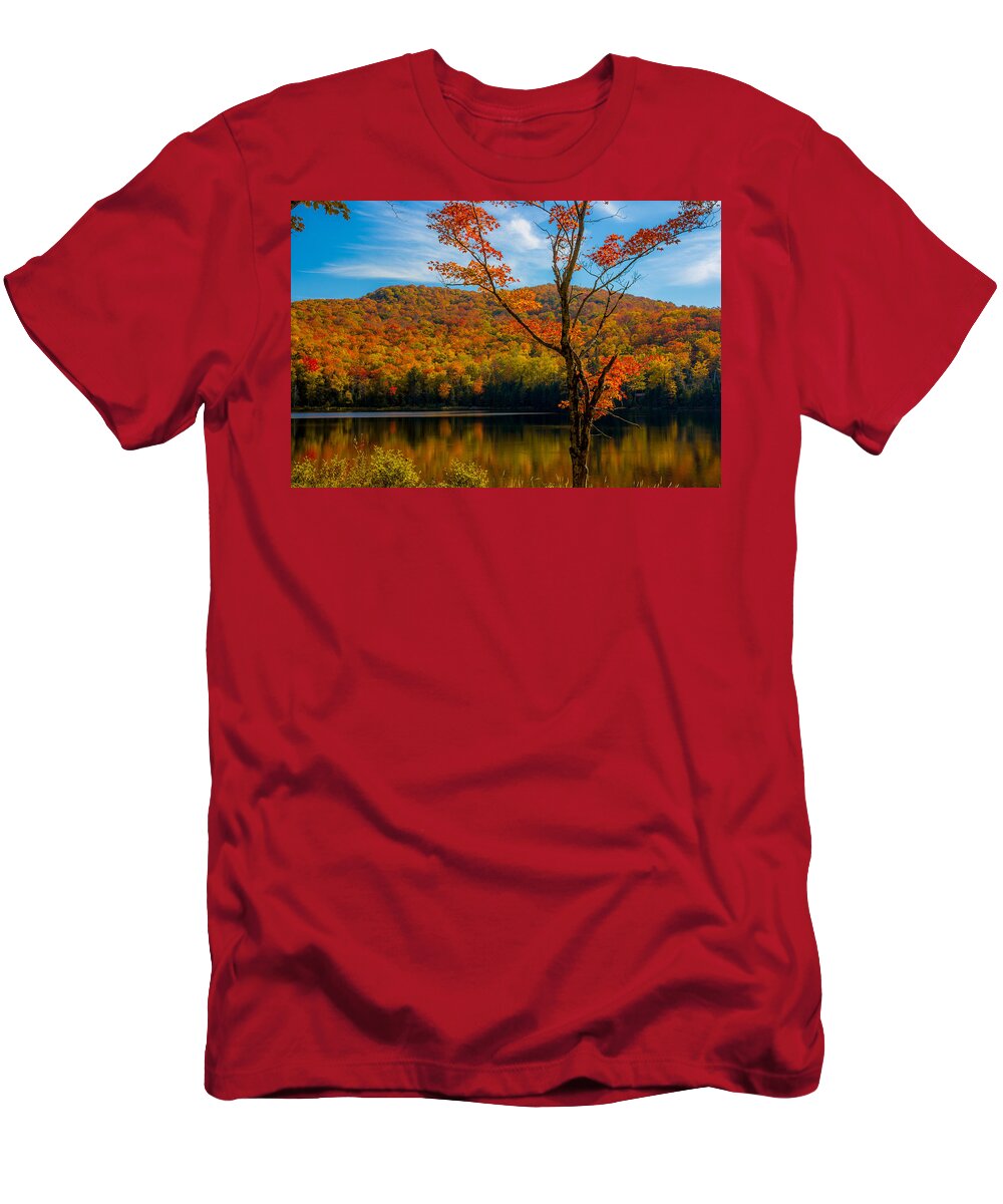 Maple Tree T-Shirt featuring the photograph Heights of Autumn by Tim Kirchoff