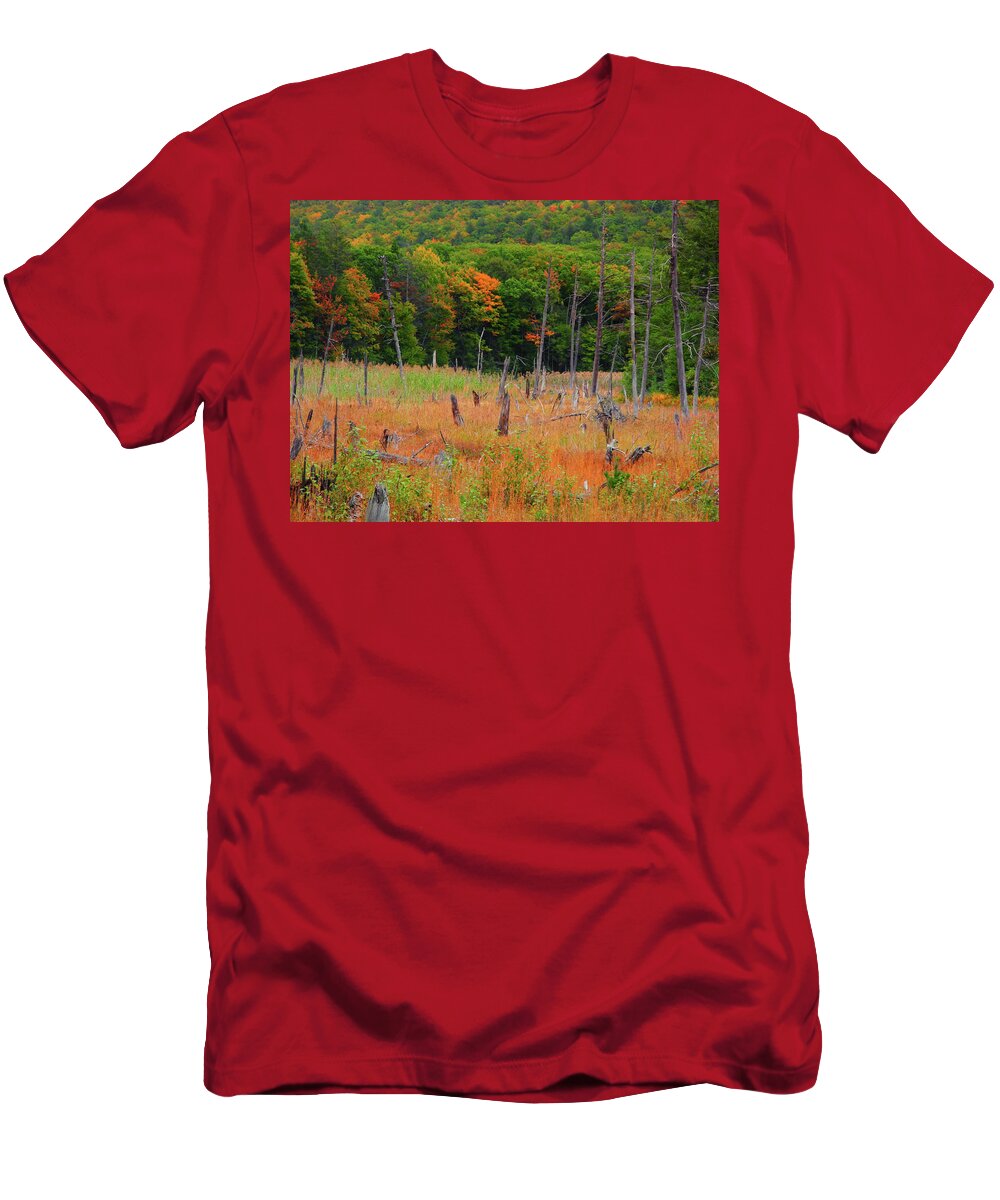 Hemlock Pond T-Shirt featuring the photograph Hemlock Pond by Raymond Salani III