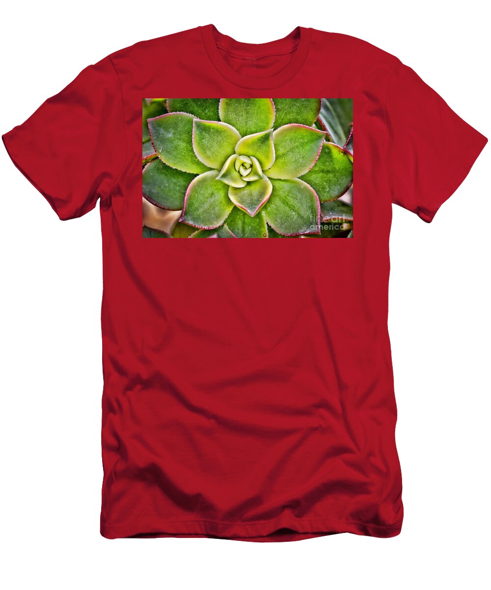 Hens And Chicks Photography T-Shirt featuring the photograph Hens and Chicks by Kerri Farley