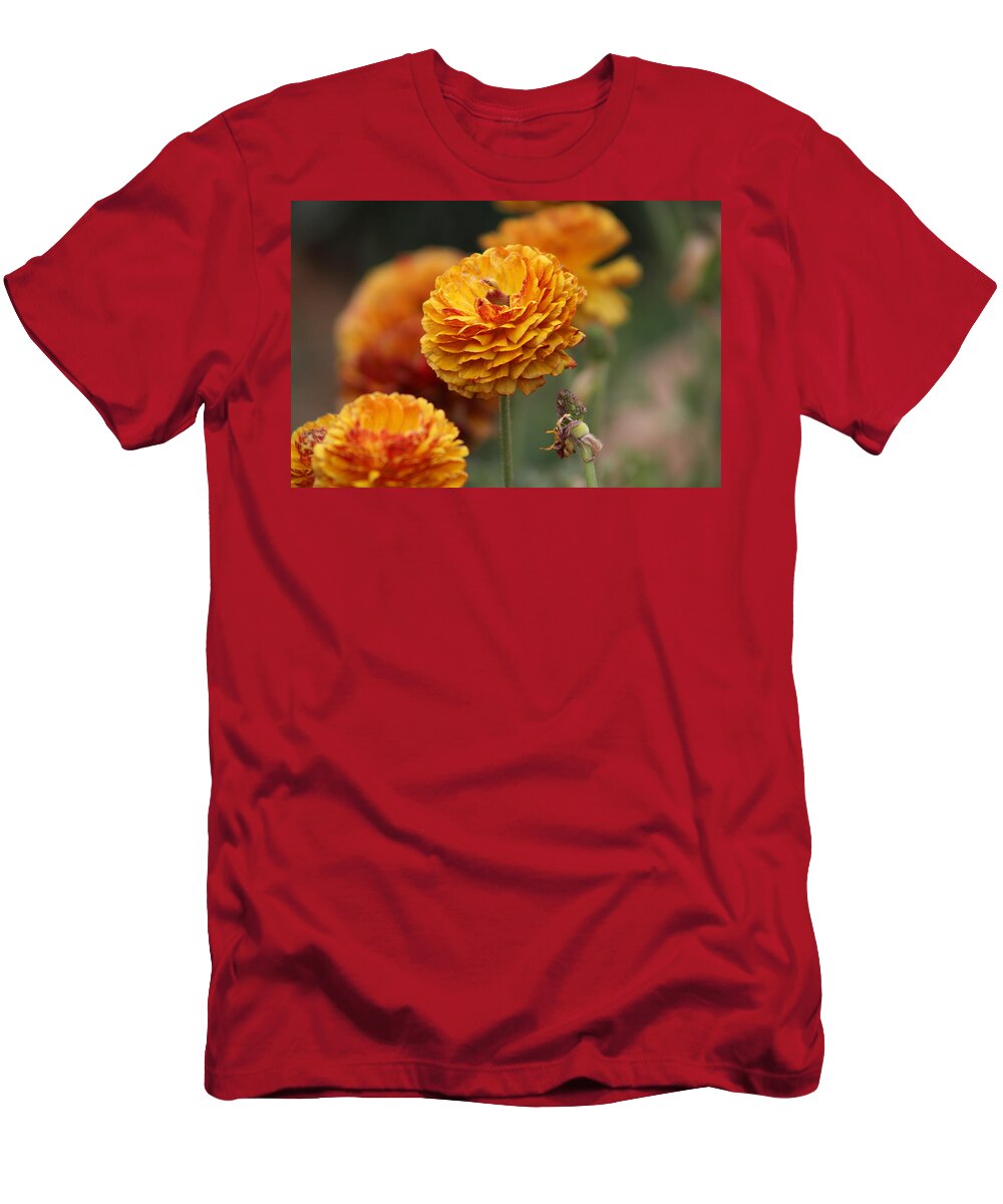Honey Brown Ranunculus T-Shirt featuring the photograph Honey Brown and Pumpkin Ranunculus by Colleen Cornelius