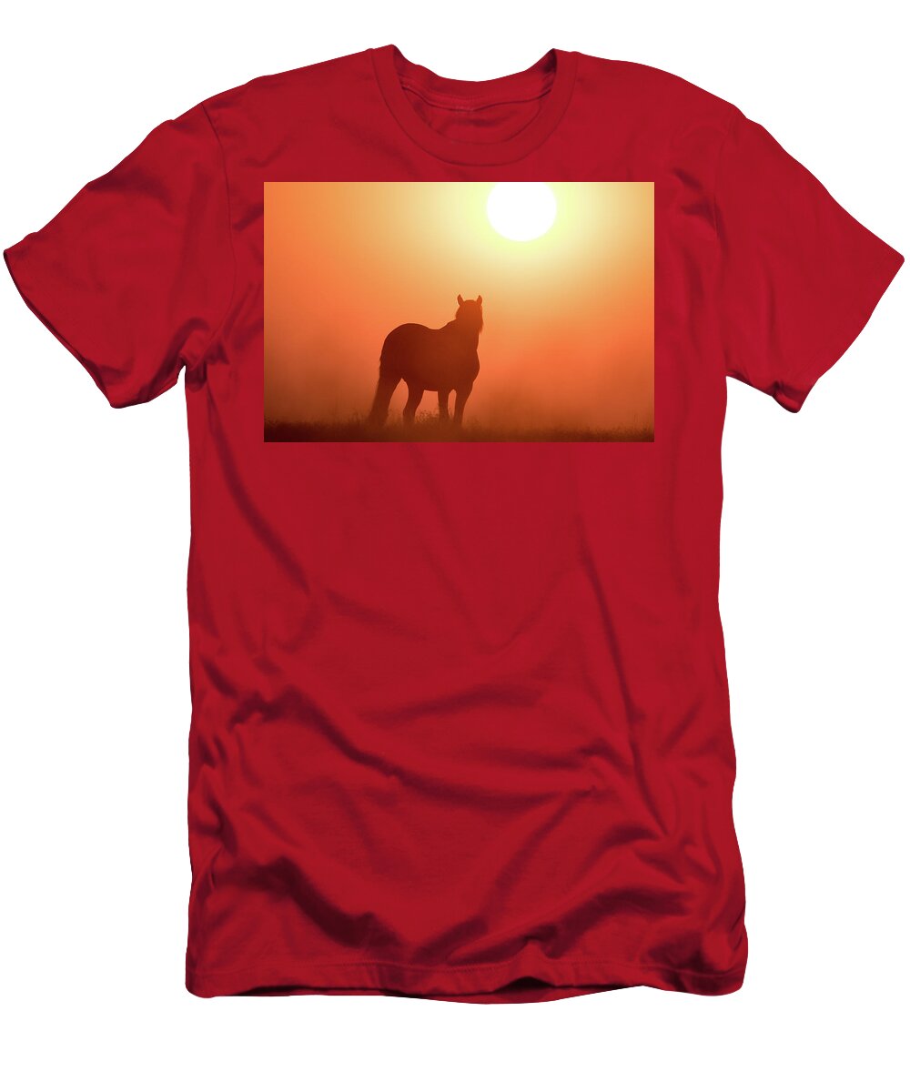 Silhouette T-Shirt featuring the photograph Horse Silhouette by Wesley Aston