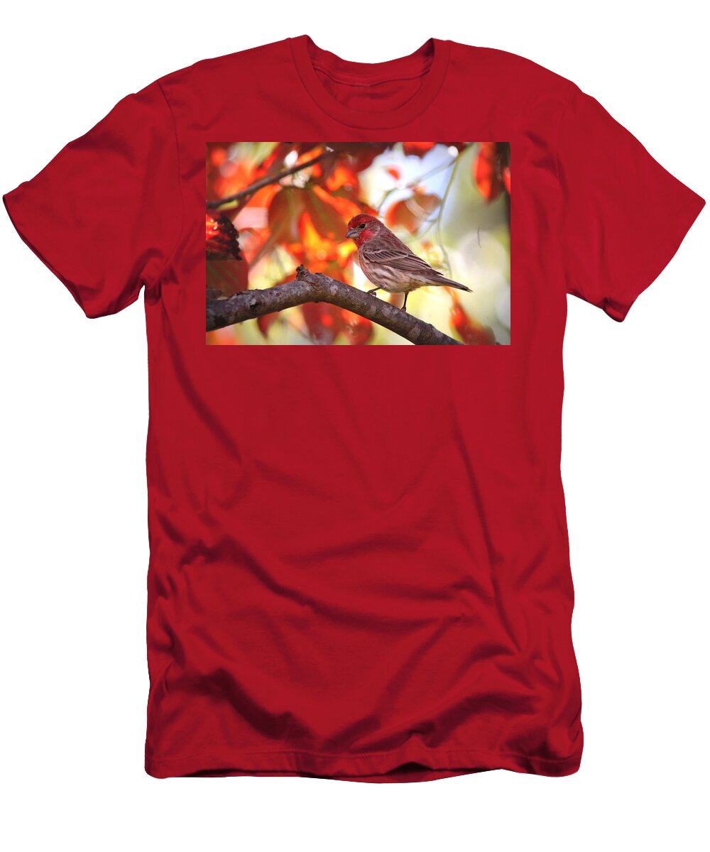 House Finch T-Shirt featuring the photograph IMG_9746 - House Finch by Travis Truelove