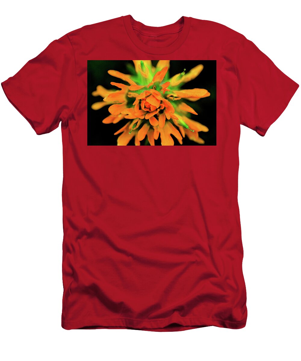 Flower T-Shirt featuring the photograph Indian Paintbrush by Winnie Chrzanowski