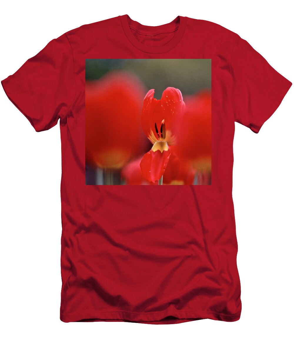 Tulip T-Shirt featuring the photograph Inner Value by Heiko Koehrer-Wagner