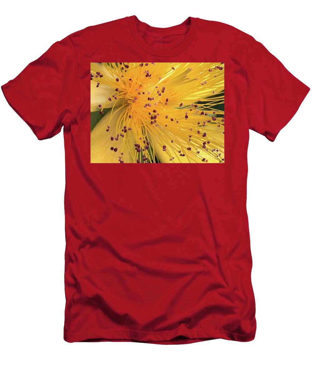 Flower T-Shirt featuring the photograph Inside a flower - Favorite of the bees by Eva-Maria Di Bella