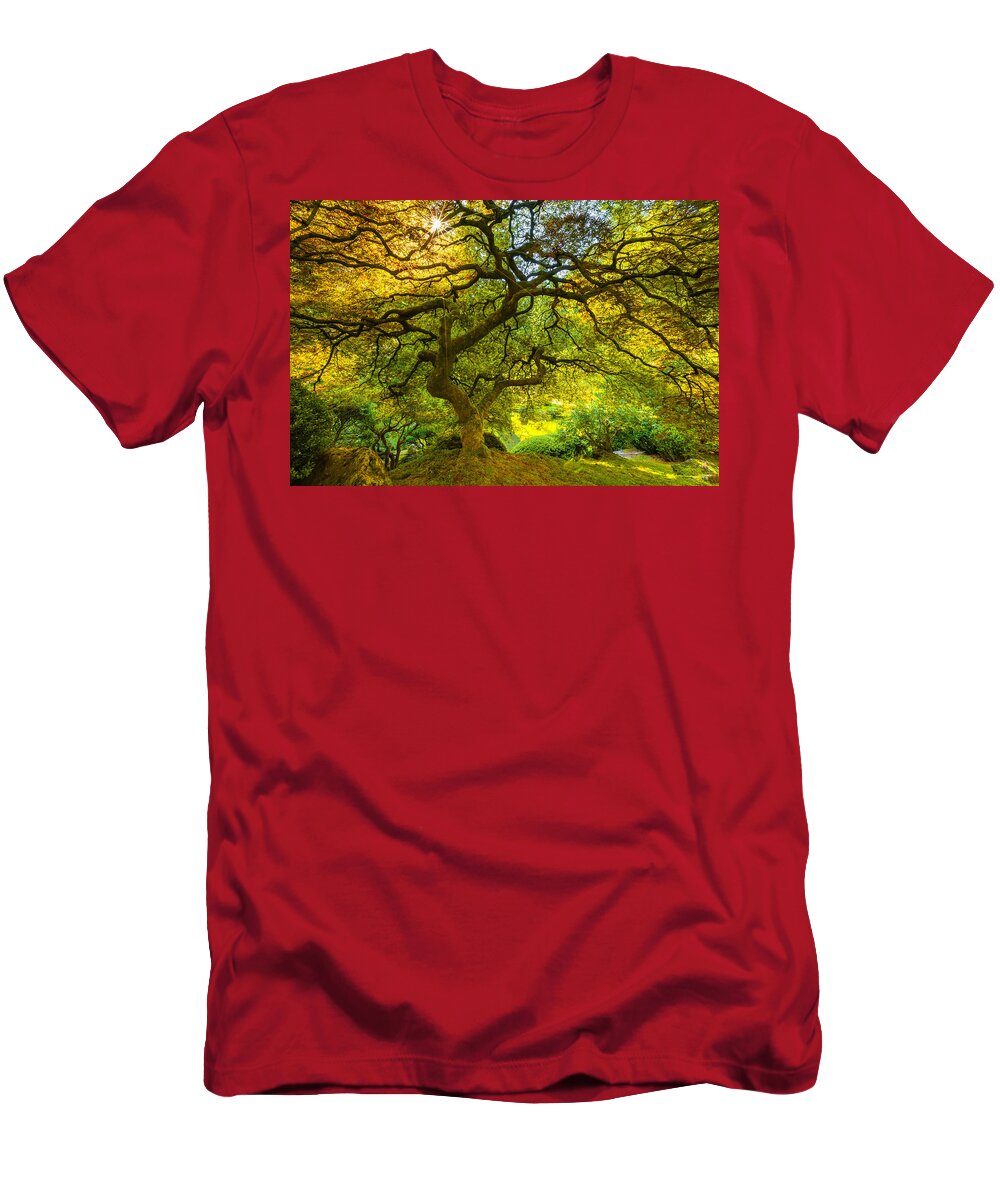 Tree T-Shirt featuring the photograph Japanese Sun by Darren White