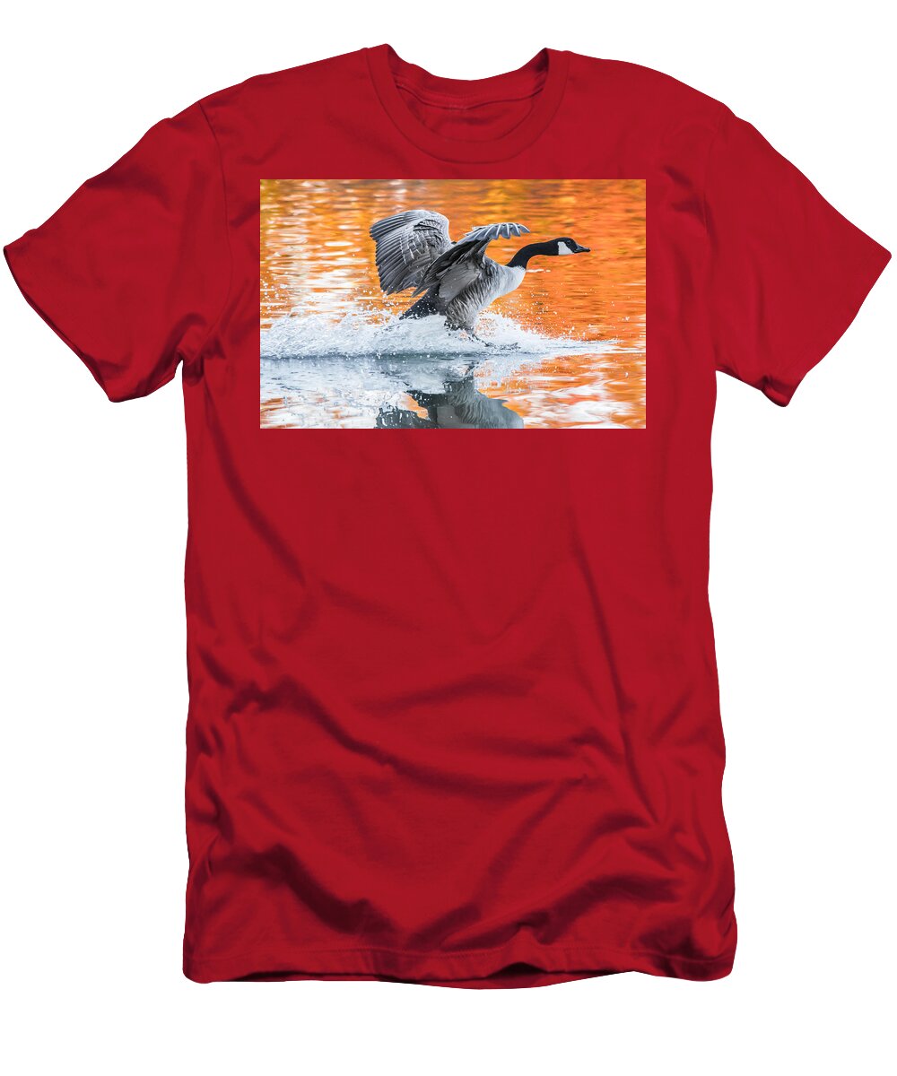 Canadian Goose T-Shirt featuring the photograph Landing by Parker Cunningham