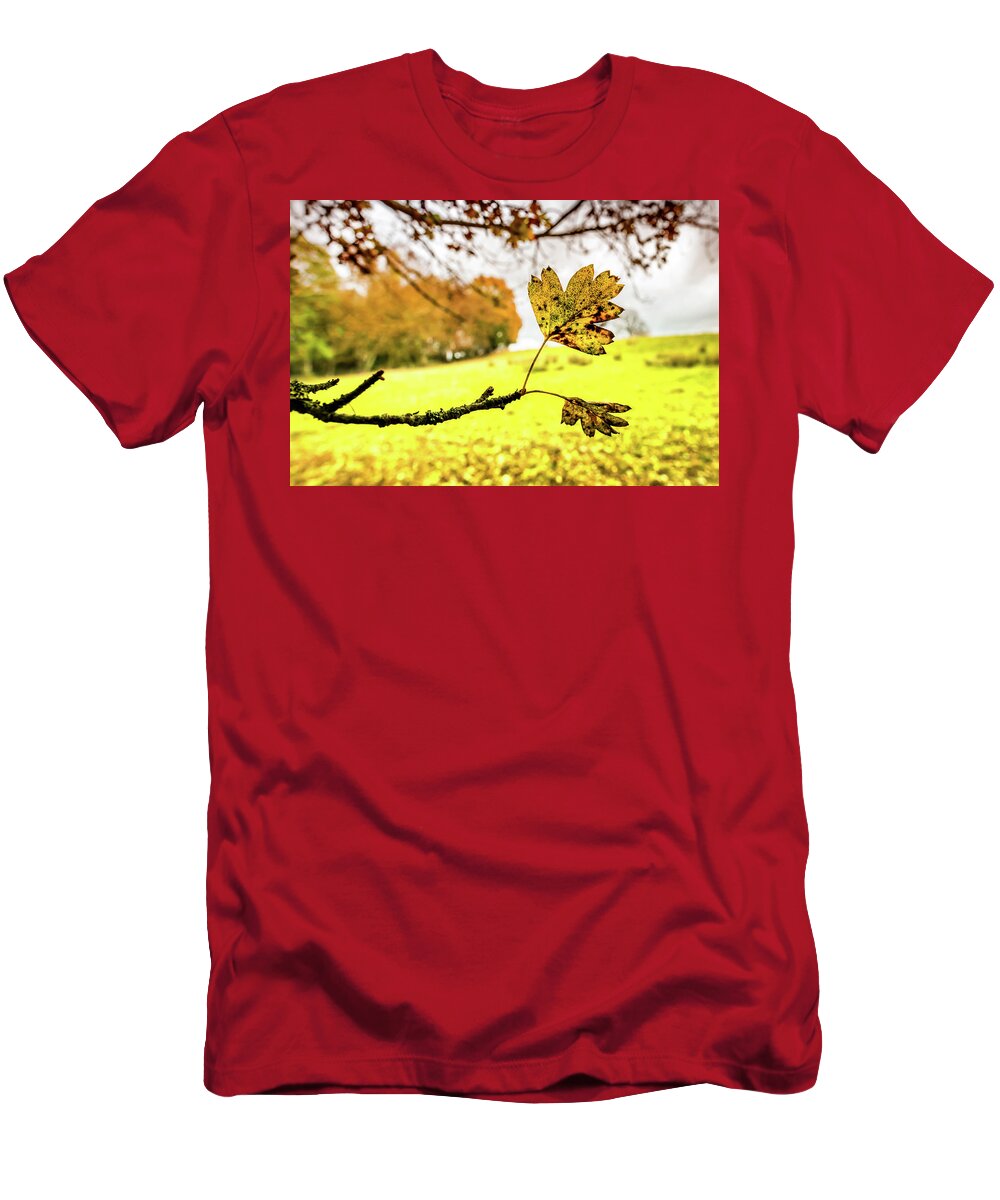 Leaf T-Shirt featuring the photograph Last to Fall by Nick Bywater