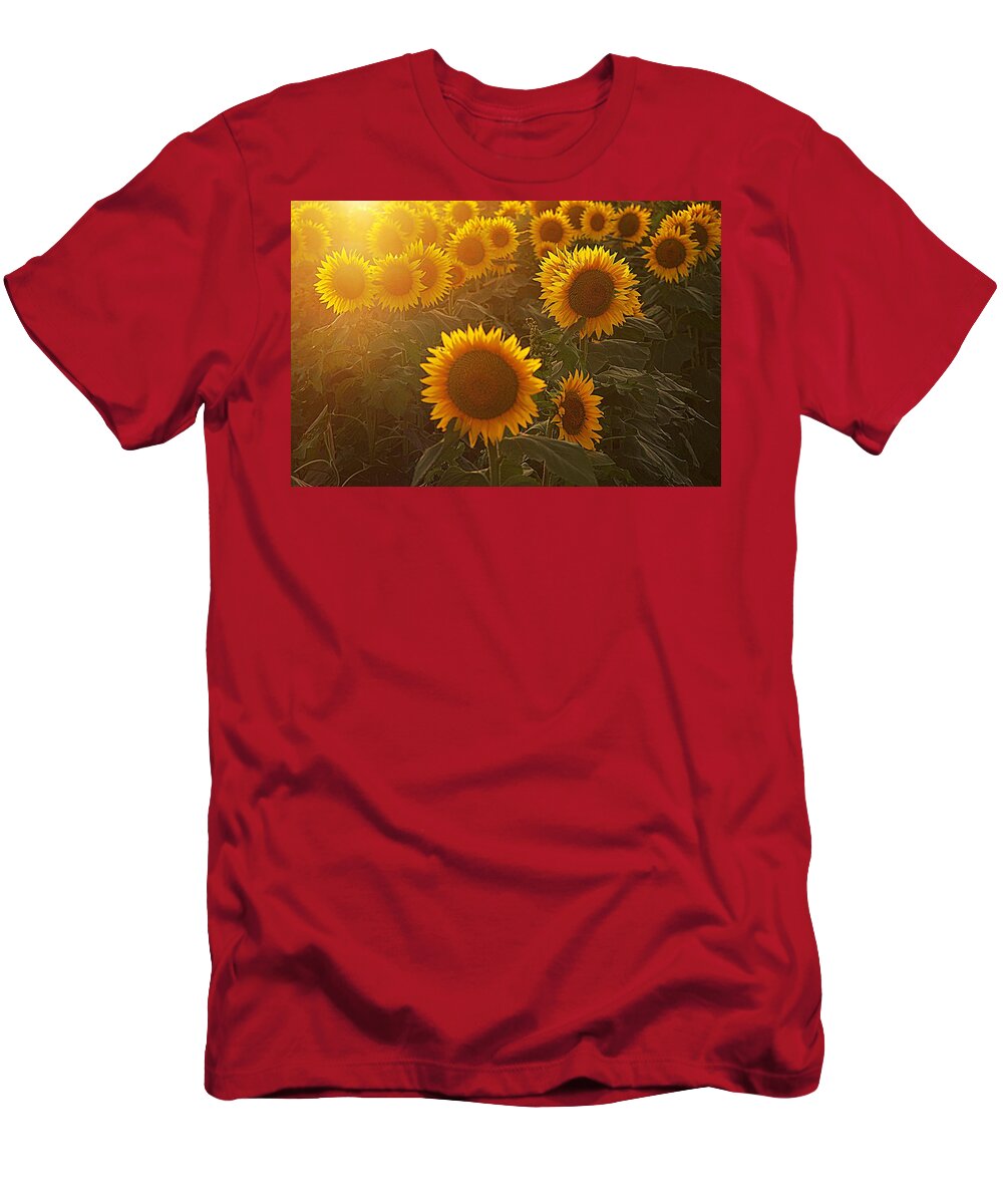 Gold Flowers T-Shirt featuring the photograph Late Afternoon Golden Glow by Karen McKenzie McAdoo