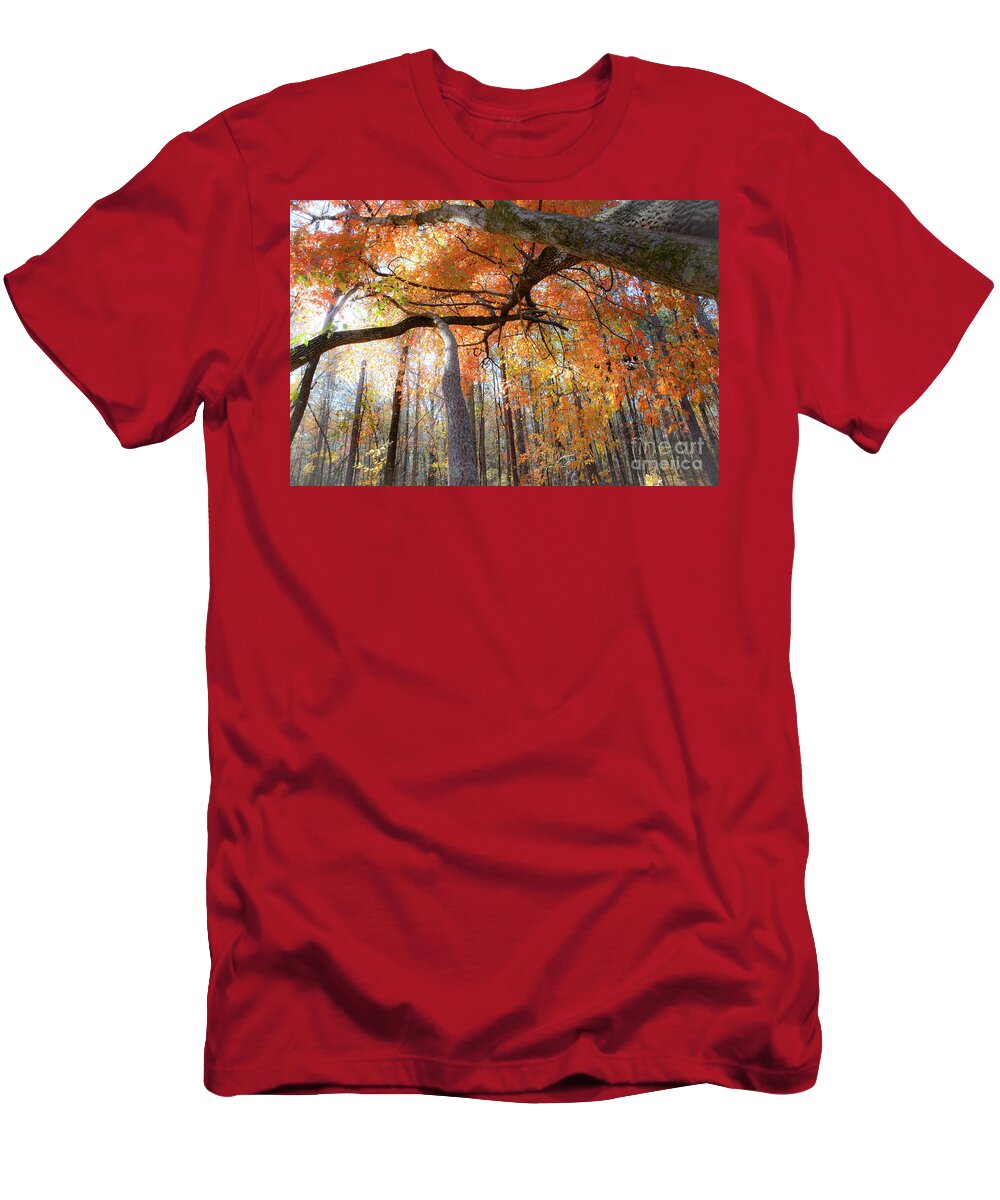 Landscape T-Shirt featuring the photograph Lead the Way - Georgia by Adrian De Leon Art and Photography
