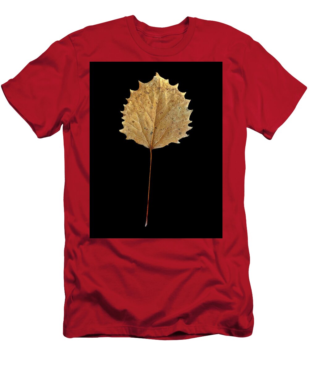 Leaf T-Shirt featuring the photograph Leaf 14 by David J Bookbinder