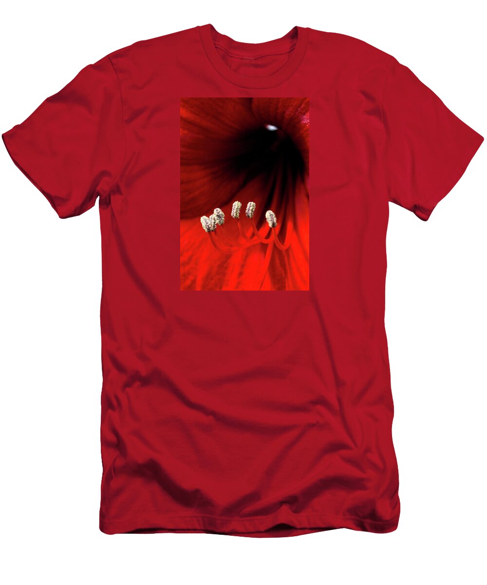 Amaryllis T-Shirt featuring the photograph Little White Slippers and a Crimson Robe by Carol Senske