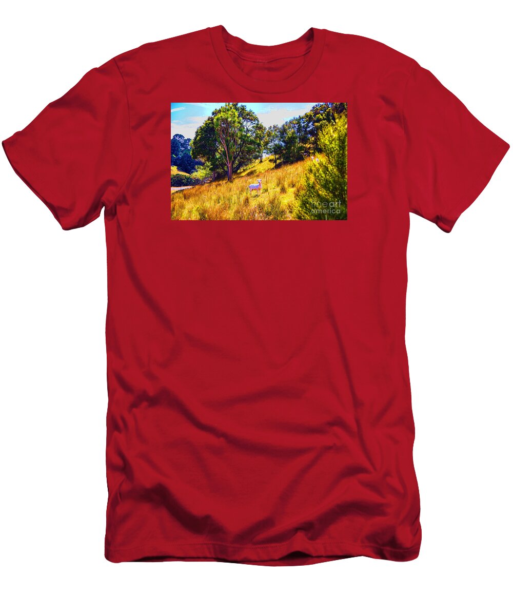 New Zealand Landscapes Hills Animals T-Shirt featuring the photograph Lost Lamb by Rick Bragan
