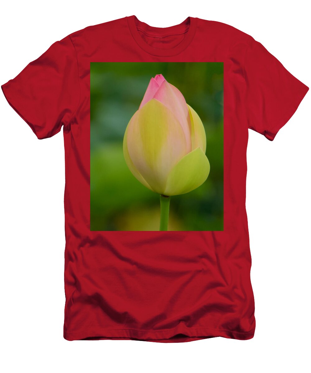 Plant T-Shirt featuring the photograph Lotus Blossom by Roberta Kayne
