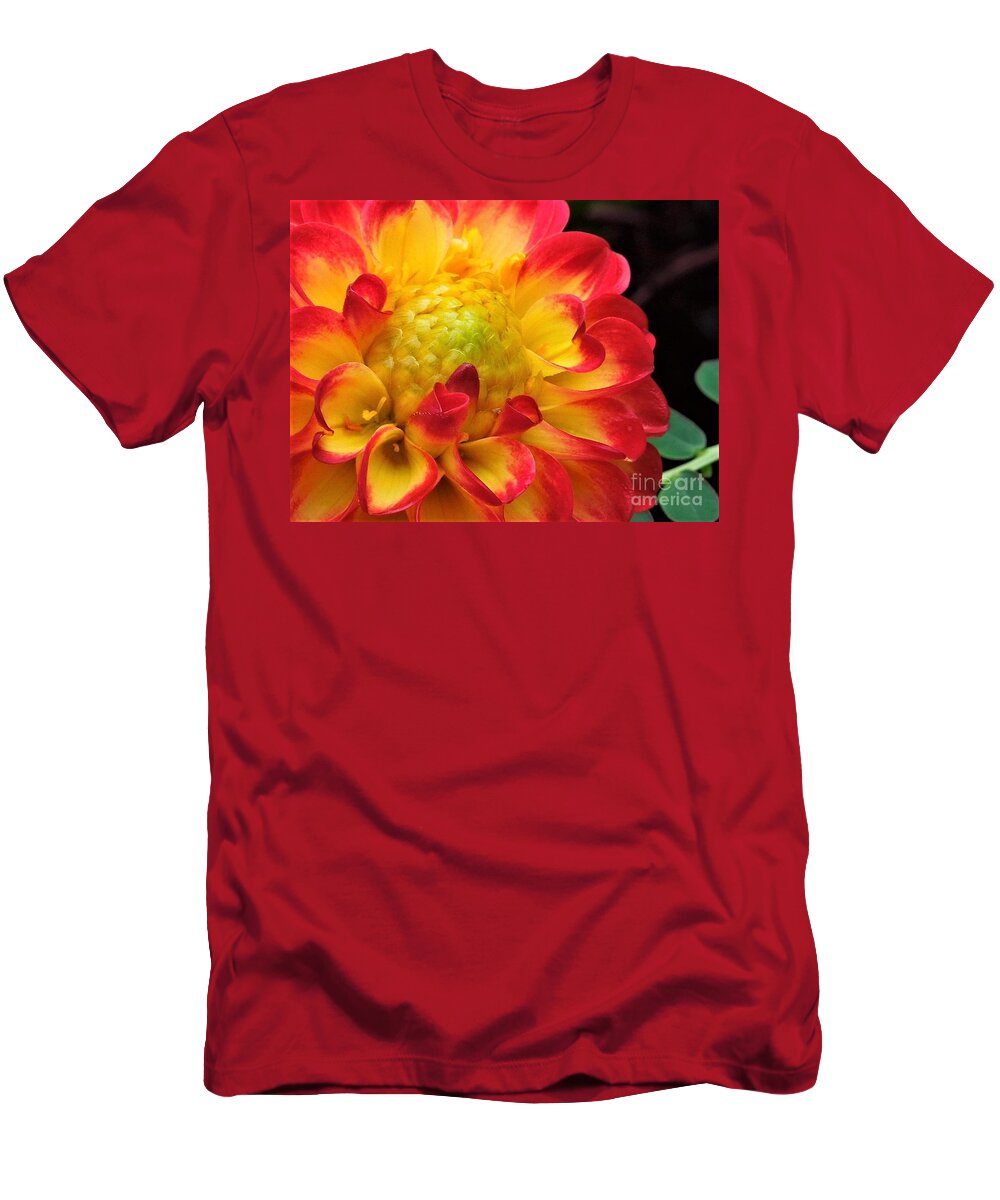 Dahlia T-Shirt featuring the photograph Macro Dahlia by Chad and Stacey Hall